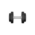 Isolated Grey Dumbbell Icon In 3D