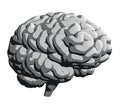 Grey Human Brain, Half Turn View. 3D Illustration