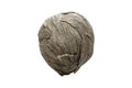 A wasp nest Royalty Free Stock Photo