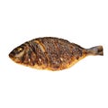 Isolated grilled dorada fish on the white