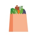 Isolated grocery bag icon Royalty Free Stock Photo