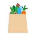 Isolated grocery bag icon Royalty Free Stock Photo