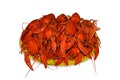 Isolated group of red boiled crawfishes on a yellow plate, closeup Royalty Free Stock Photo