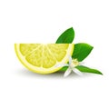 Isolated half of circle juicy yellow lemon with white flower, green leaf and shadow on white background. Realistic colored slice. Royalty Free Stock Photo