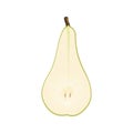 Isolated half of green colorful pear conference on white background. Realistic colored slice of pear. Flat design