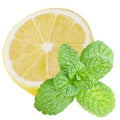 Isolated half lemon with mint leaves on white background Royalty Free Stock Photo