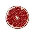 Isolated half of ruby colorful pomegranate on white background. Realistic colored round slice of pomegranate with red seeds. Top Royalty Free Stock Photo