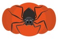 Dark Spider Posing over Halloween Pumpkin, Vector Illustration