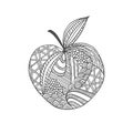 Isolated hand drawn black outline apple on white background. Ornament of curve lines.