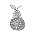 Isolated hand drawn black outline pear on white background. Ornament of curve lines.