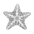 Isolated hand drawn black outline starfish on white background. Royalty Free Stock Photo