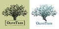 Isolated hand drawn olive tree symbolic illustration on sample text as logo brand or symbol