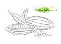 Isolated hand drawn vector illustration of cocoa Royalty Free Stock Photo