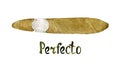 Perfecto cigar shape painted illustration