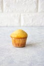 Isolated handmade muffin on white background