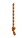 Isolated hanging ropes with tassel. Realistic knotted nautical thread. Nautical or marine vertical fiber. Hemp string