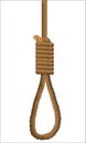 Isolated HAngman Noose