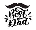 Isolated Happy fathers day quotes on the white background. Best dad in the world. Congratulation label, badge vector Royalty Free Stock Photo