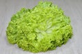 Isolated head of fresh lettuce close up Royalty Free Stock Photo