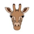 Isolated head of giraffe on white background. Colored cartoon face portrait. Royalty Free Stock Photo