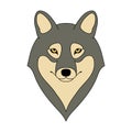 Isolated head of grey wolf on white background. Colored cartoon portrait. Royalty Free Stock Photo