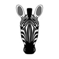 Isolated head of striped zebra on white background. Colored cartoon portrait. Royalty Free Stock Photo