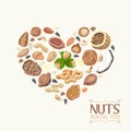 The isolated heart of nuts and seeds