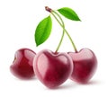 Isolated heart shaped cherries Royalty Free Stock Photo