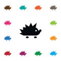 Isolated Hedgehog Icon. Crew Cut Vector Element Can Be Used For Crew, Cut, Hedgehog Design Concept.