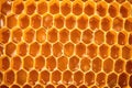 isolated hexagonal pattern of honeycomb