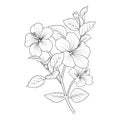 Isolated hibiscus flower hand drew vector sketch illustration, botanic collection branch of leaf buds natural collection