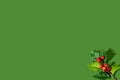Isolated Holly berry on green background. Minimal Christmas concept.Copy space