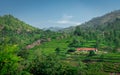 Isolated Homes in the foothills of western ghat with tee garden Royalty Free Stock Photo