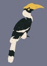 Isolated hornbills bird illustration Royalty Free Stock Photo