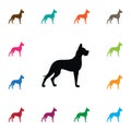 Isolated Hound Icon. Whippet Vector Element Can Be Used For Whippet, Hound, Dog Design Concept.