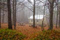 Isolated house in the beeches forest in Autumn. Royalty Free Stock Photo