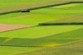  house, grass, meadows, green, lines