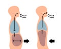 isolated of human body when breathe in and breathe out in flat vector style