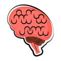 Isolated human brain. Colored sketch Royalty Free Stock Photo