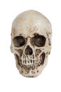 Isolated human skull on white