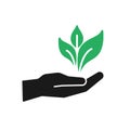 Isolated icon of green plant in black hand on white background. Silhouette of leaf and hand. Symbol of care, protection, charity.