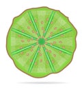 Isolated icon of slice of kiwi, white background