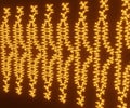 isolated illuminated Structure of phospholipid molecules bilayer