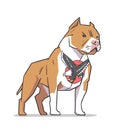 Isolated illustration of american pit bull terrier standing guard with old school eagle tattoo on chest in color Royalty Free Stock Photo