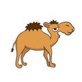 Isolated illustration of a camel Royalty Free Stock Photo