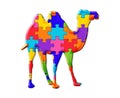 Isolated illustration of a camel consisting of colorful puzzle pieces on white background Royalty Free Stock Photo