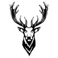 Isolated illustration of a deer head Royalty Free Stock Photo