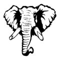 Isolated illustration of an elephant`s head Royalty Free Stock Photo