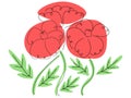 Isolated illustration with lines of three poppy flowers.