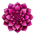 isolated illustration of purple exotic flower. Generative AI